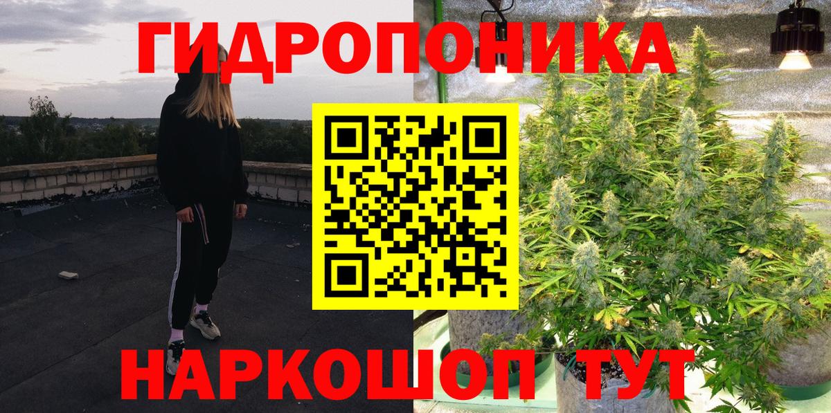 Конопля индика Котлас
